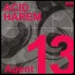 Agent13